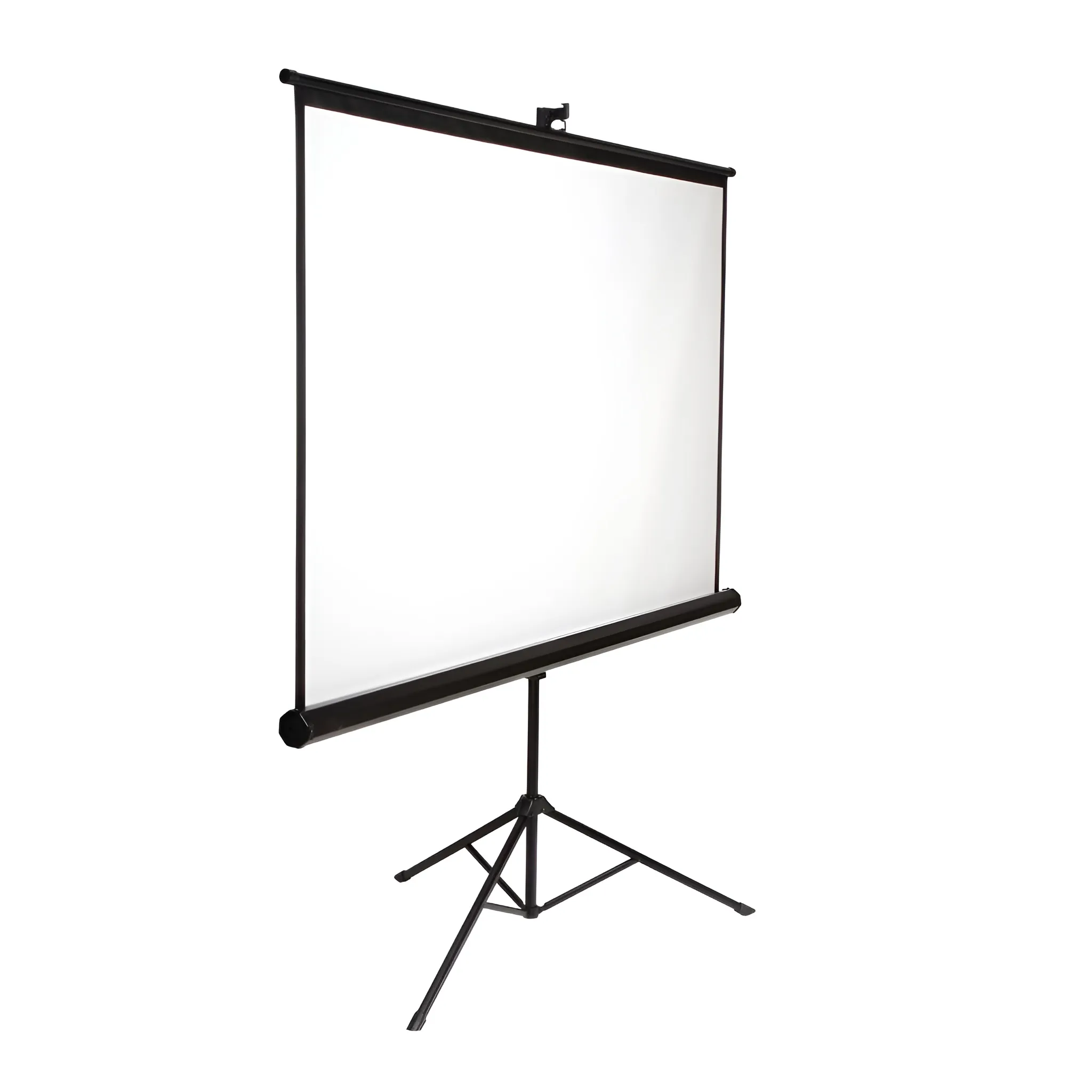LeTaec Tripod Screen
