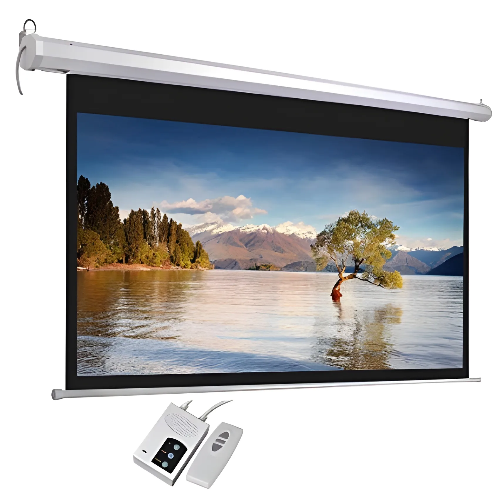 LeTaec Motorized Screen